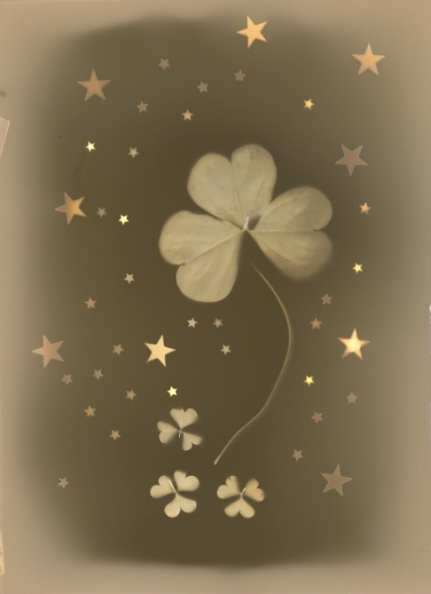 Clover Dreams & Stars by Natasha Sanchez | A sparkly Lumen print created using black & white photo paper, clovers, metallic stars and the sun! Clover Dreams & Stars